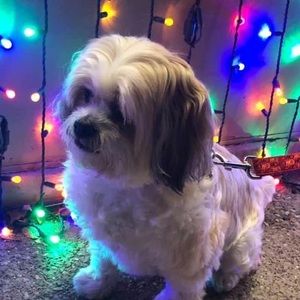 Meet your Posher, Teri